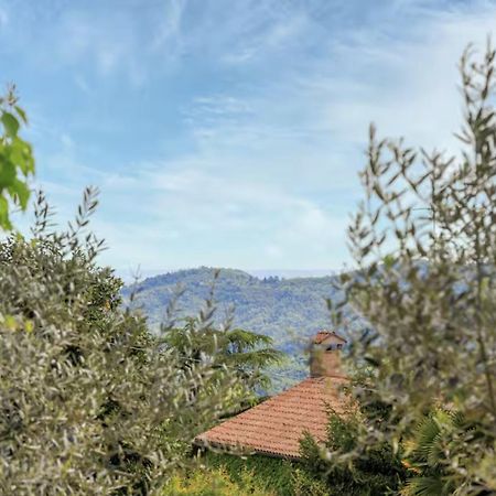Elegante Appartamento Con Vista - Colli Euganei Teolo Ngoại thất bức ảnh