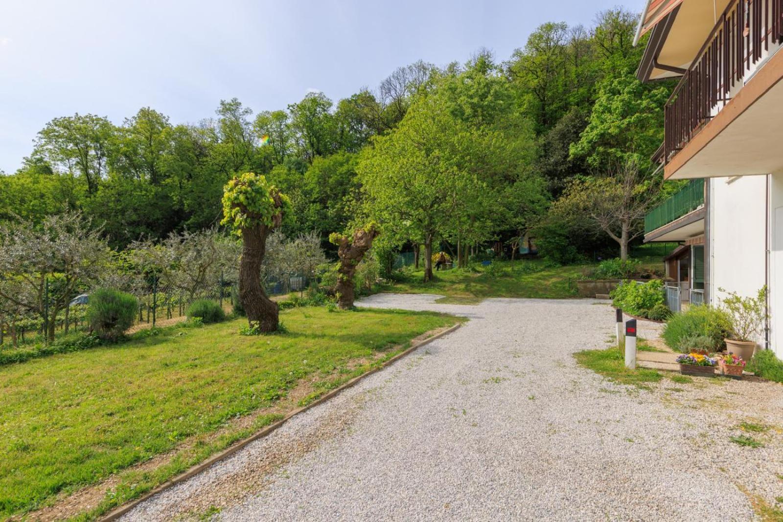 Elegante Appartamento Con Vista - Colli Euganei Teolo Ngoại thất bức ảnh
